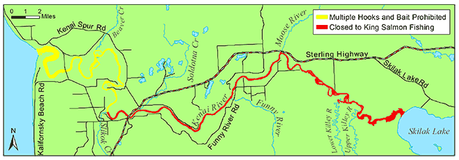 Kenai River King Salmon Sport Fishery Starting July with Retention of King Salmon Less Than 34 inches and No Bait